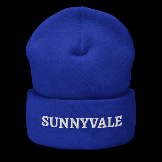 TPB BEANIE - SUNNYVALE on a black background